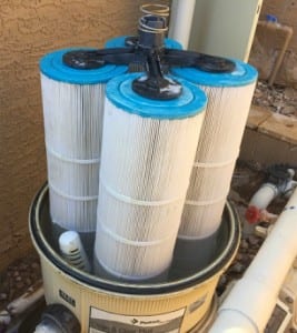 filter cleaning after cleaning from 12 pool service in mesa arizona